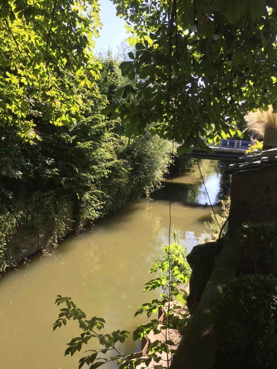 Saint-Étienne-au-Mont Hostellerie De La Riviere المظهر الخارجي الصورة